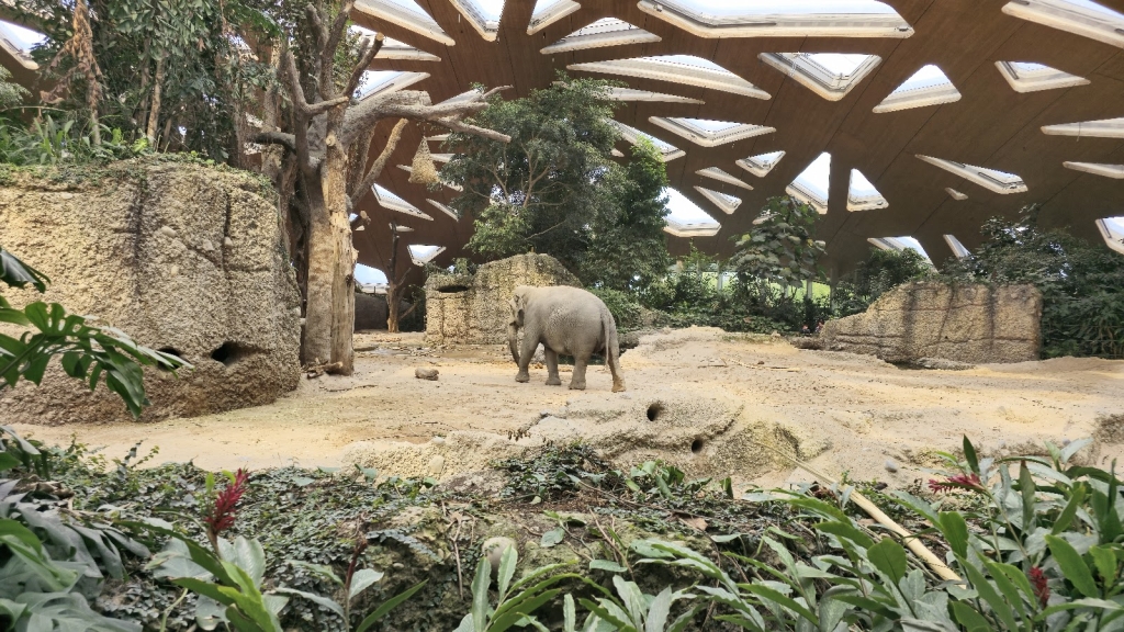 Zoo Zürich