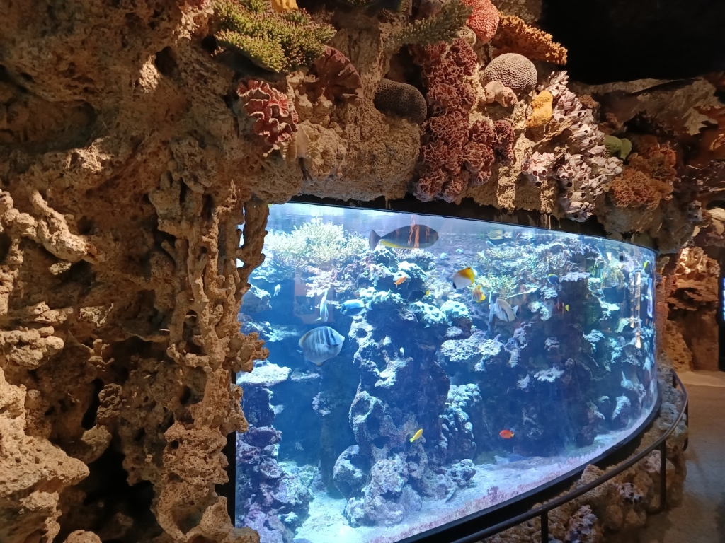 Acuario Skansen