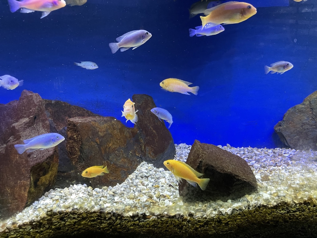 Aquamundo Aquarium