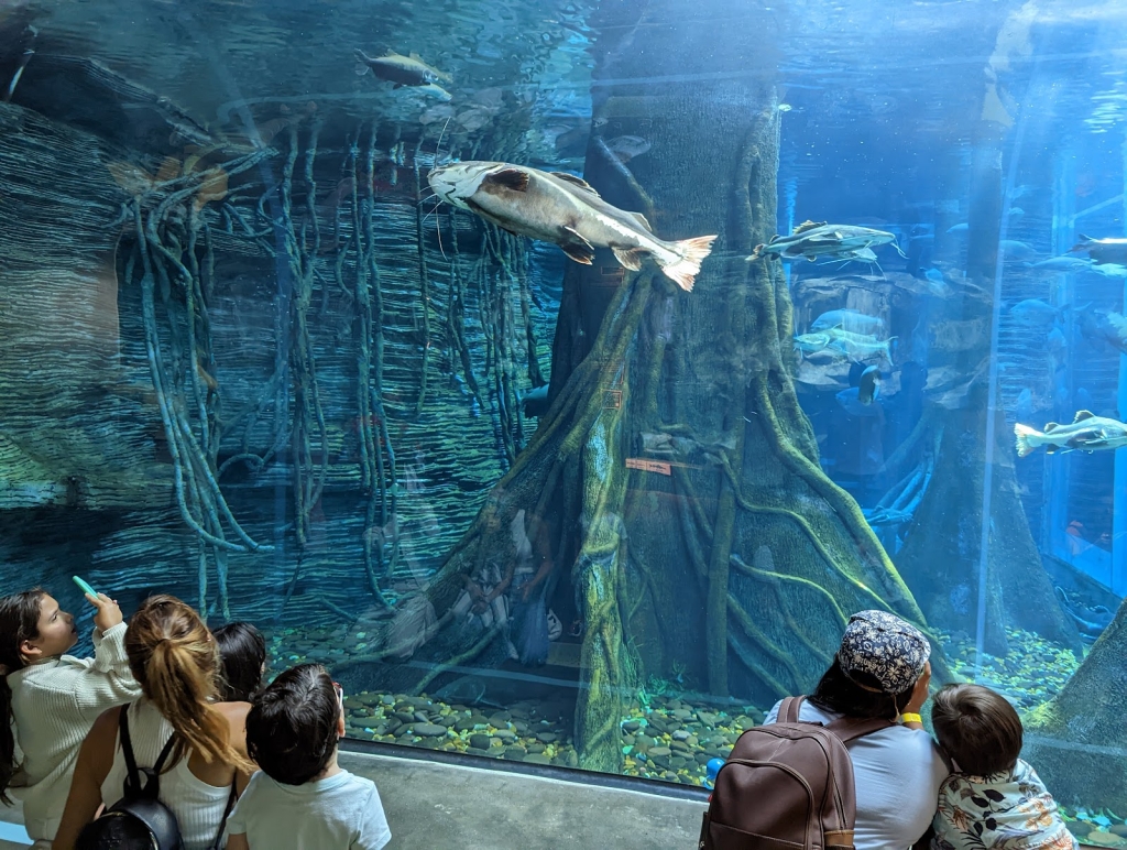 Acuario Medellín