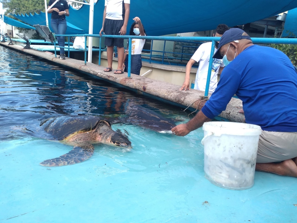 Acuario Mundo Marino