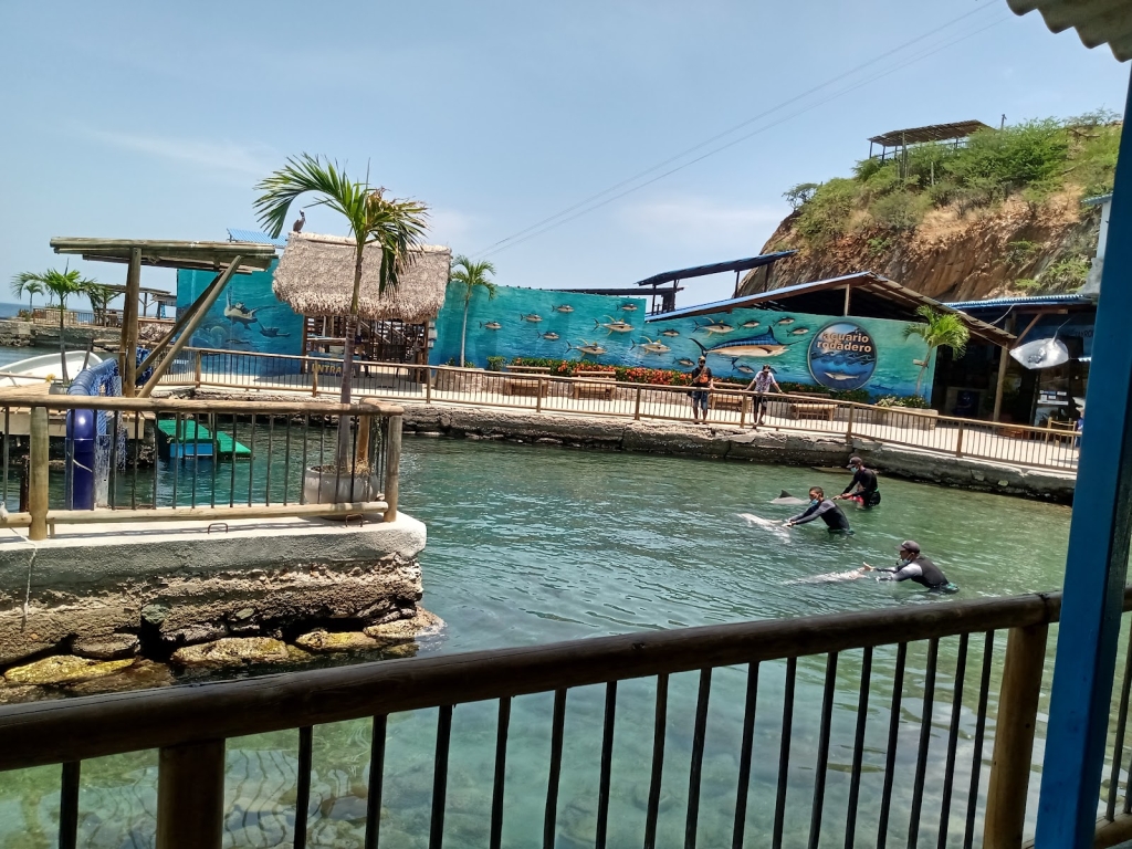 Acuario y Museo del Rodadero