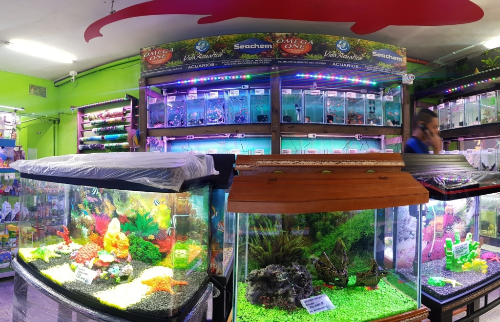 Acuario 47
