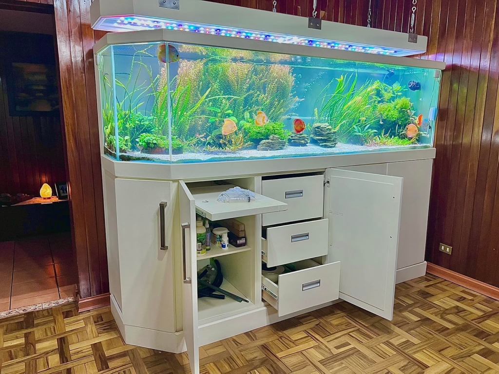 Acuaticos Tienda de Peces Bogotá, Equipos, Alimento, Venta de Acuarios