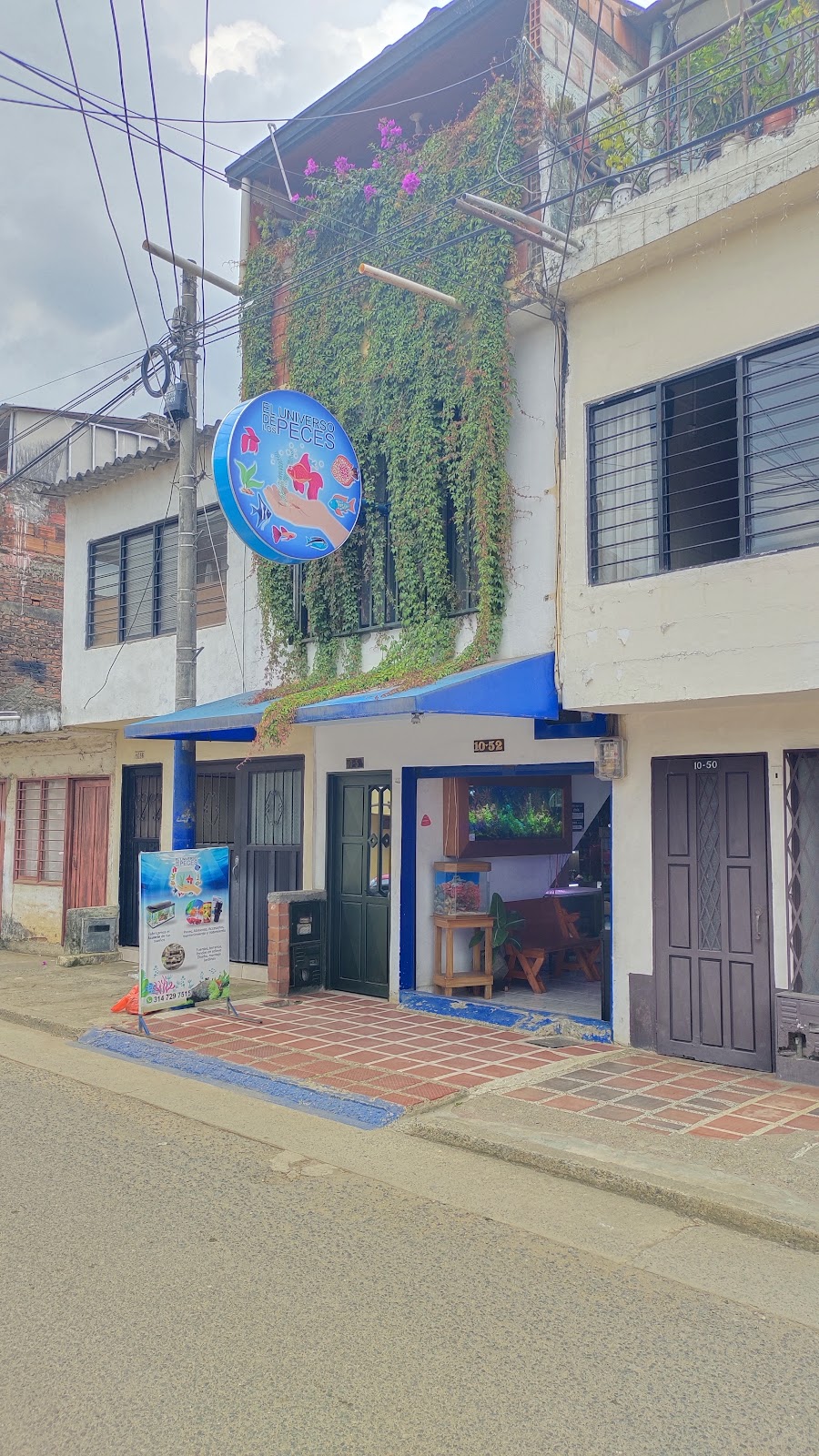 El Universo de los Peces