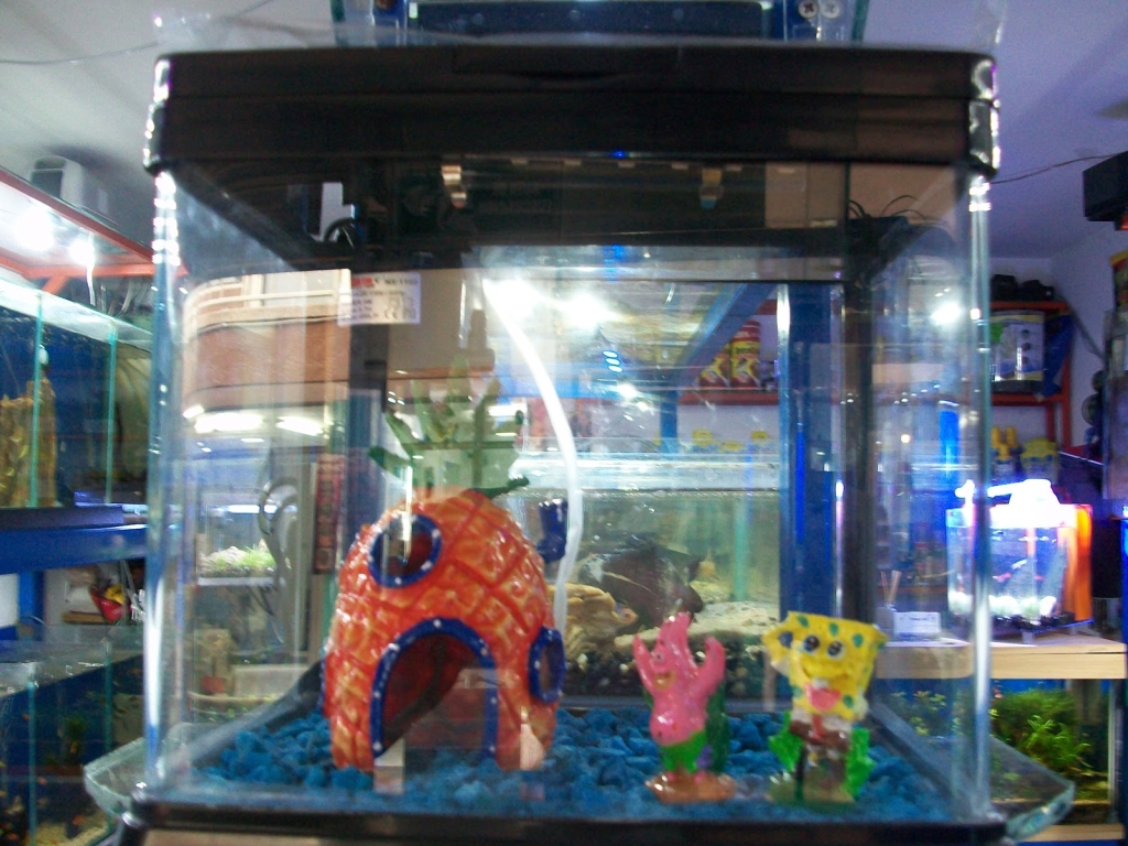 Tropcol Peces Ornamentales
