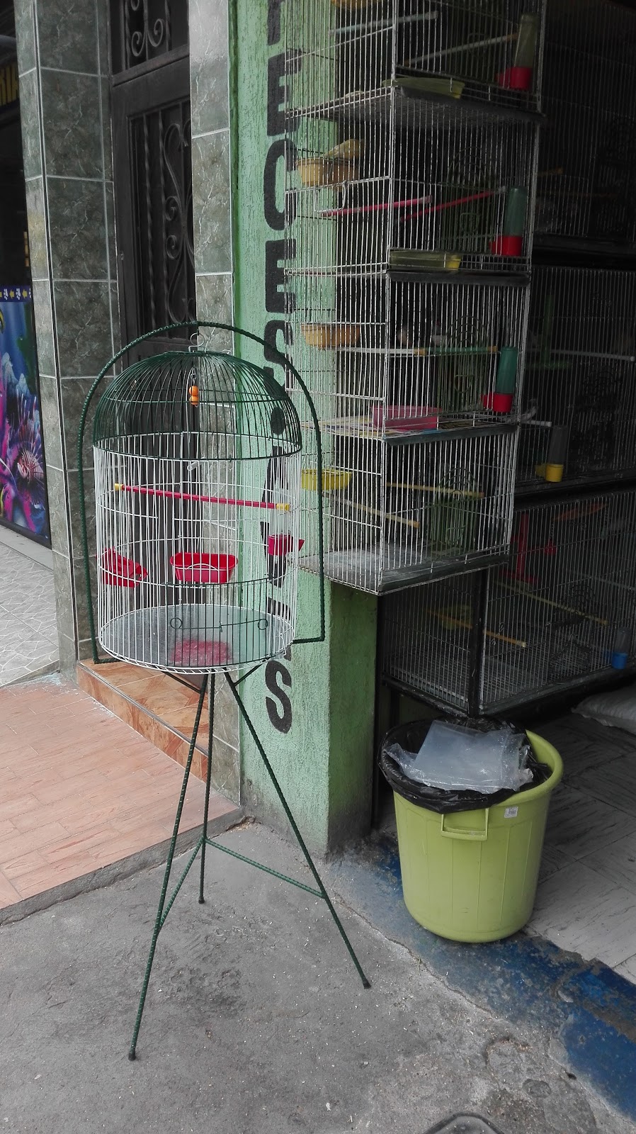 El Edén de las Aves