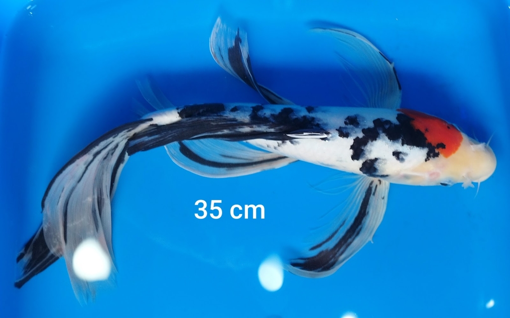 Acuaequipos