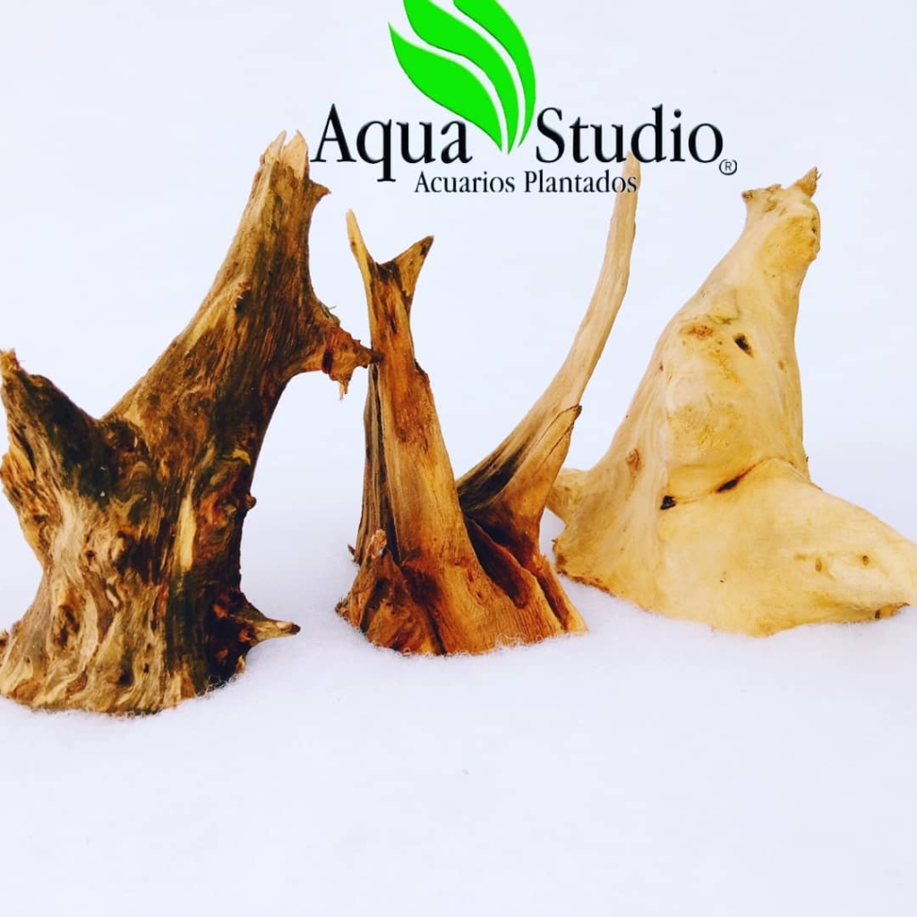 Aqua Studio