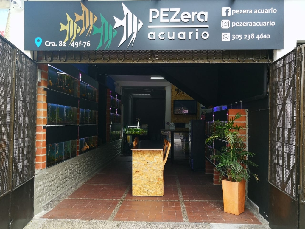 Pezera Aquarium