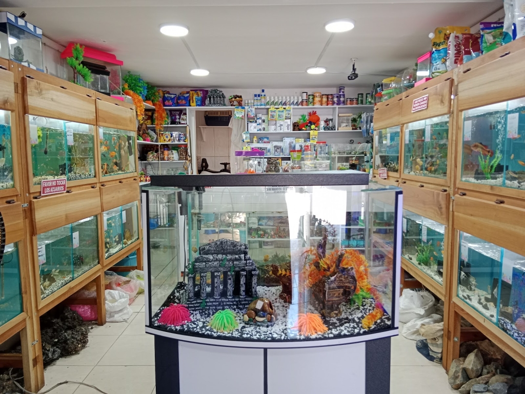Anchor Aquarium