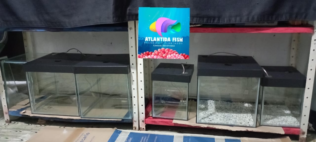 Atlantis Fish Planted Aquariums