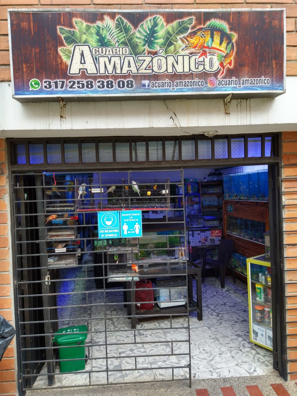 Amazon Aquarium