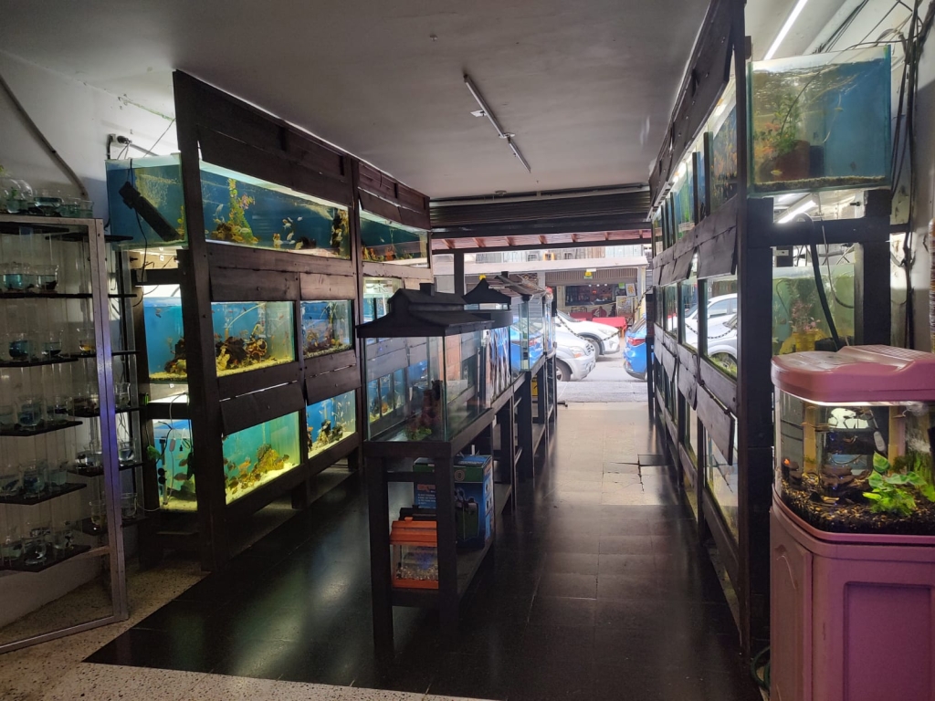 Tropical Aquarium Medellín