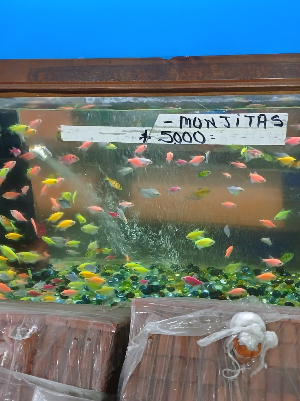 Florist Accessories Barranquilla