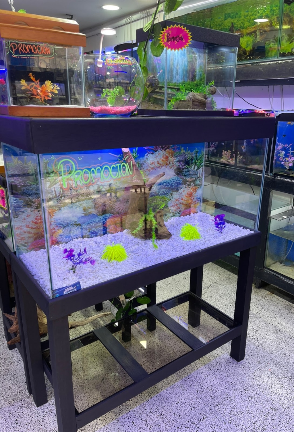 Jaasiel Aquarium