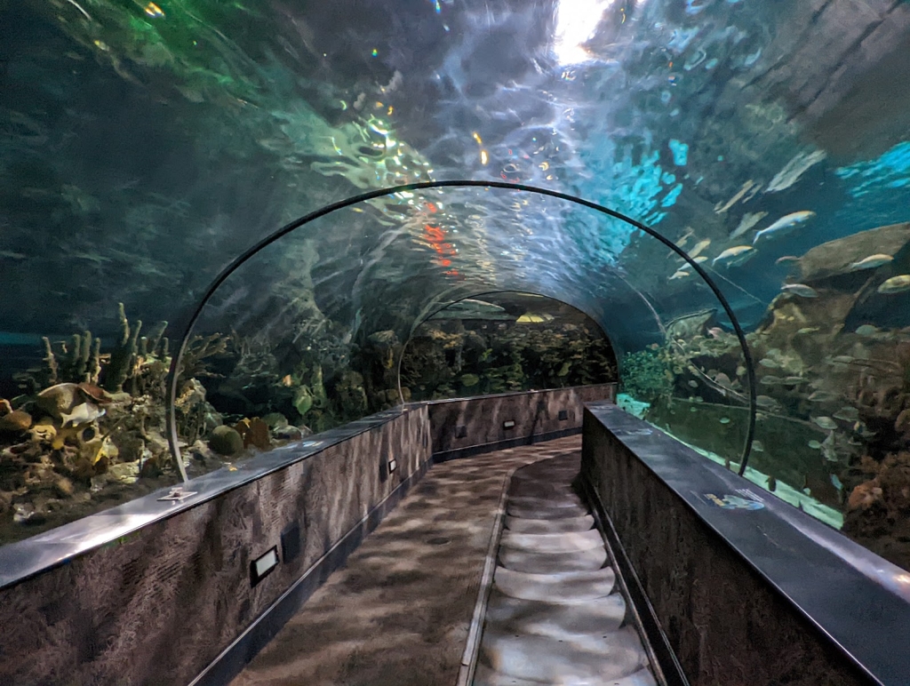 Acuario de Ripley en los Smokies