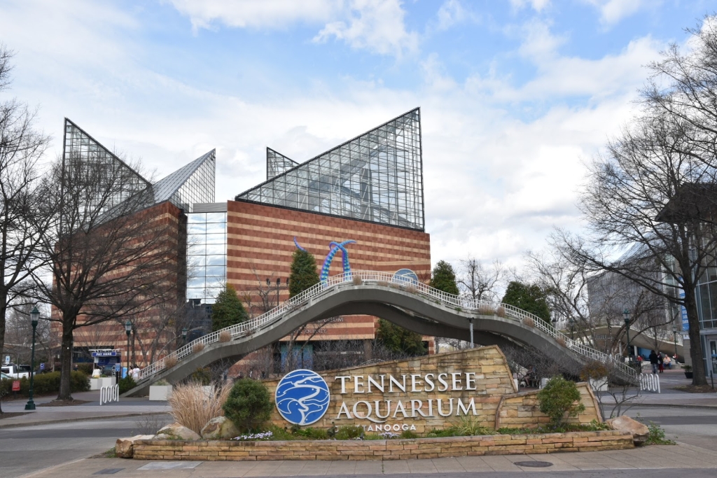 Acuario de Tennessee