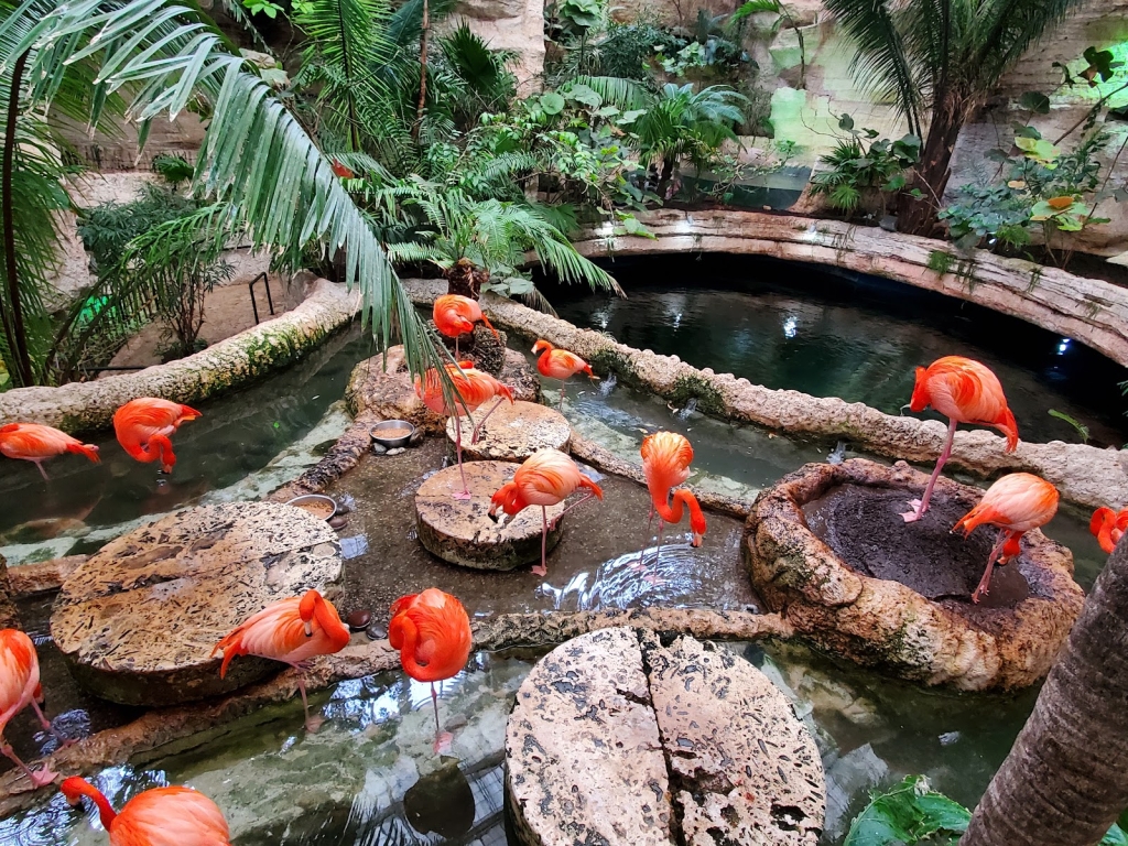 El Acuario Mundial de Dallas
