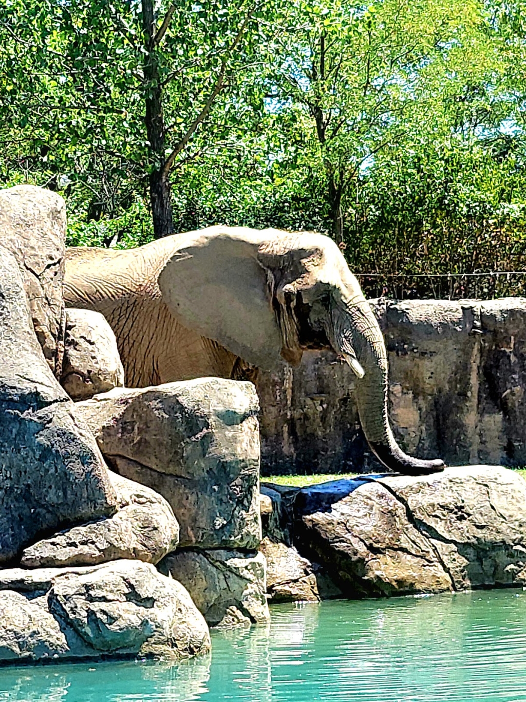 Zoológico de Indianápolis