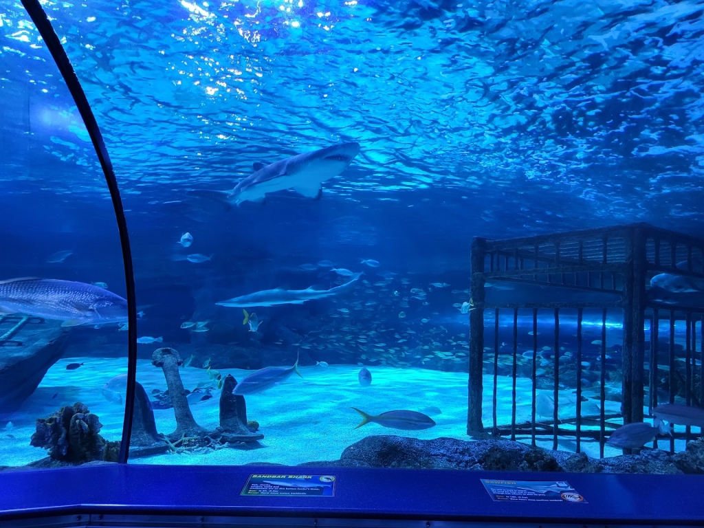 Acuario de Ripley en Myrtle Beach
