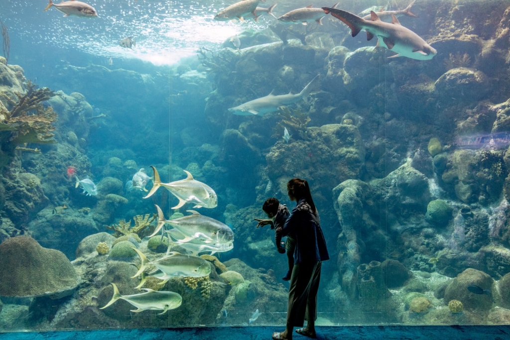 El Acuario de Florida