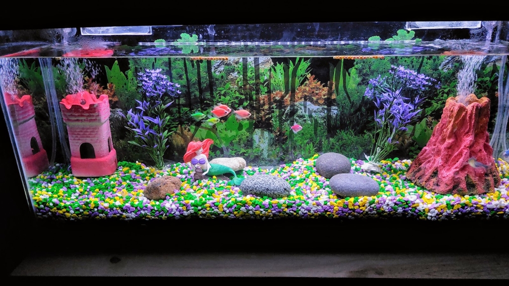 Acuario Discus Morón