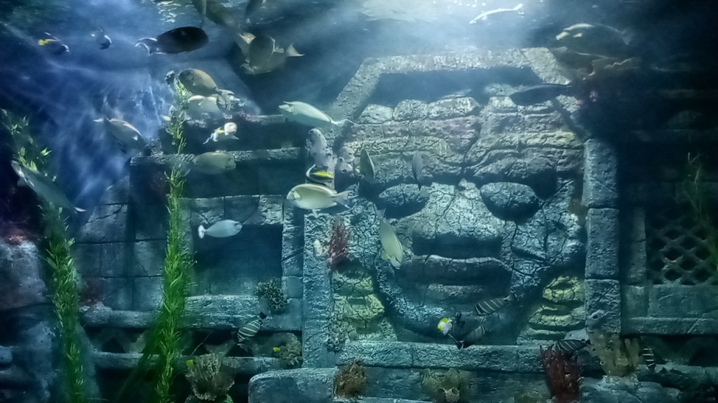 Acuario del Centro