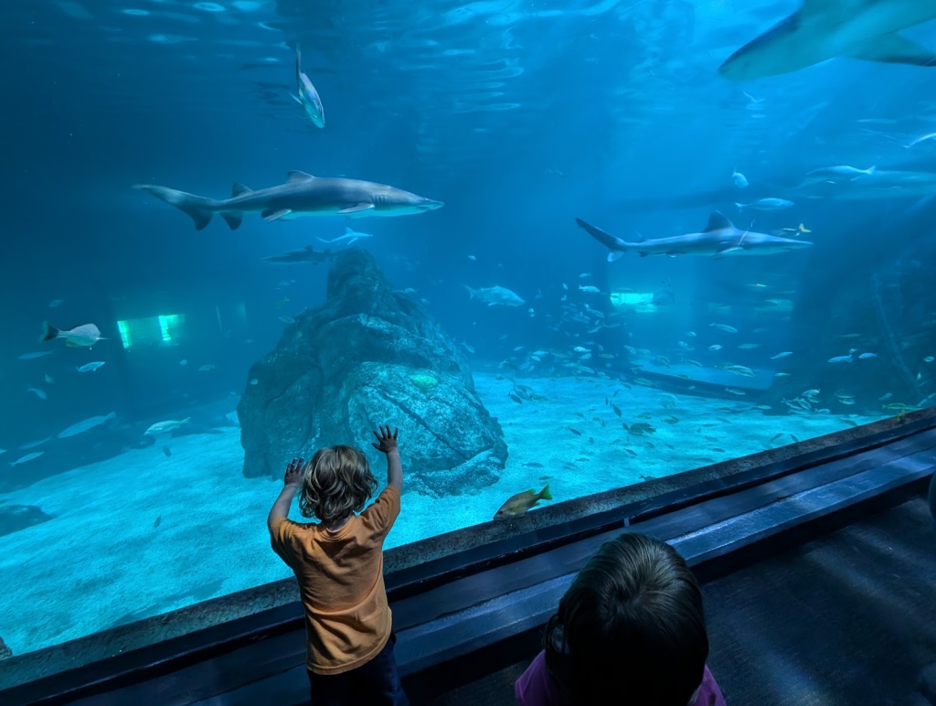 Acuario de Aventuras