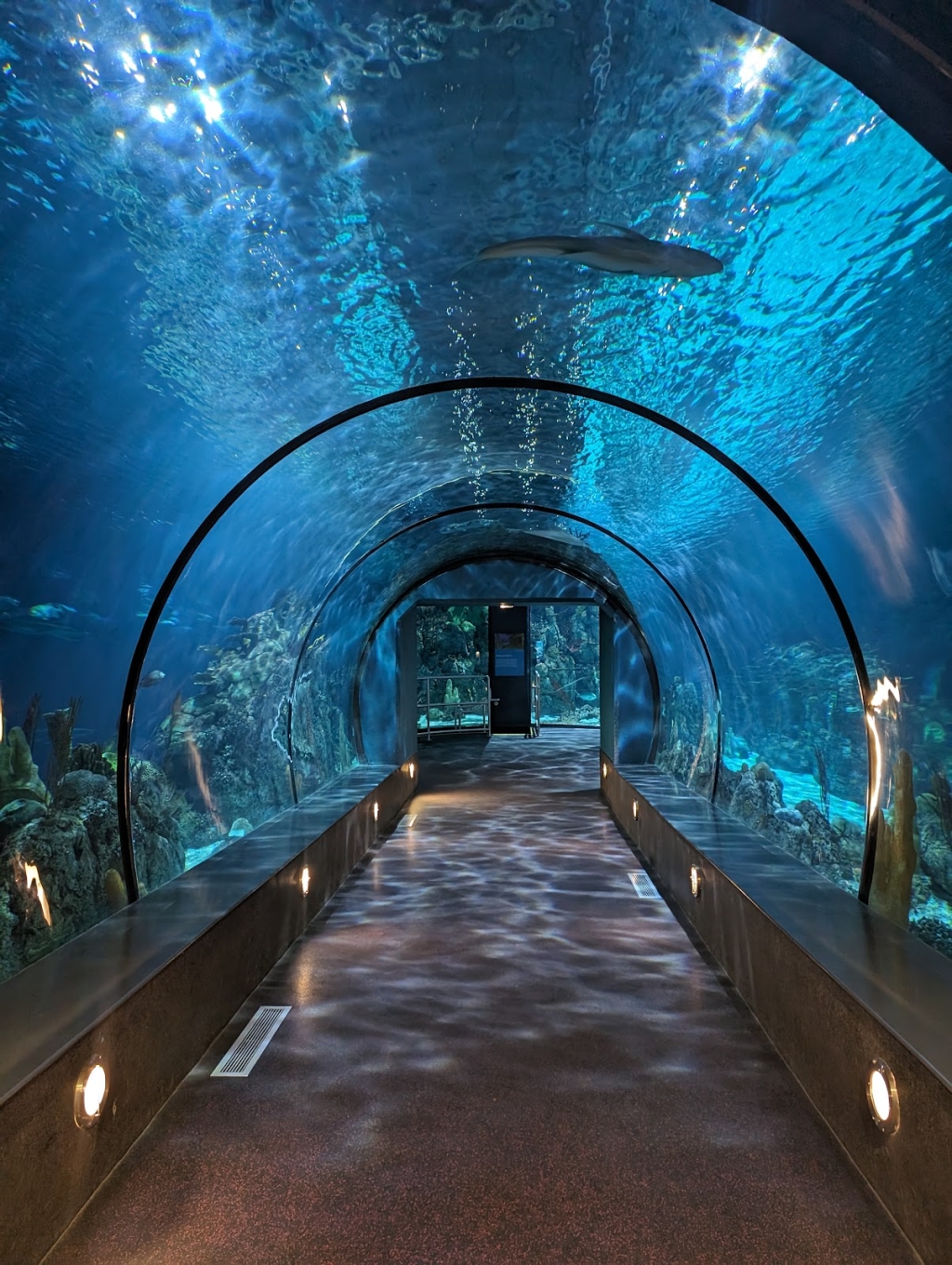 Moody Gardens Attractions Theme Park