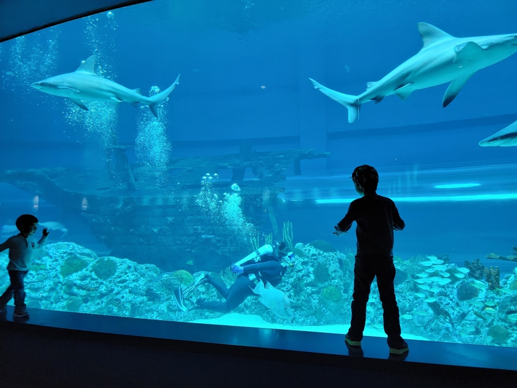 Acuario del Estado de Texas