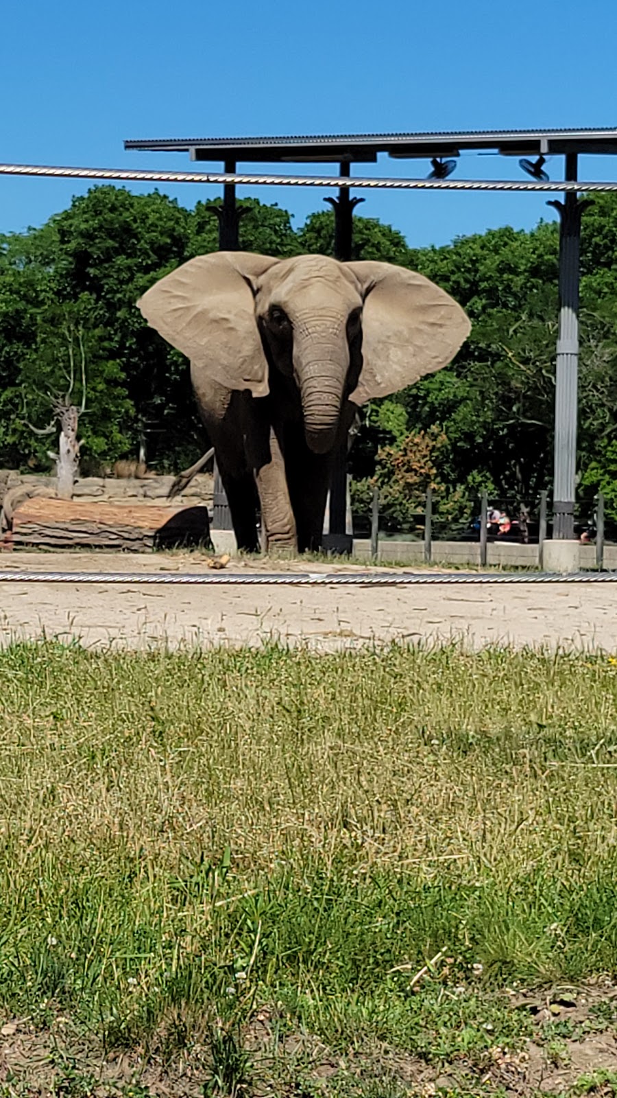 Zoo del Condado de Milwaukee