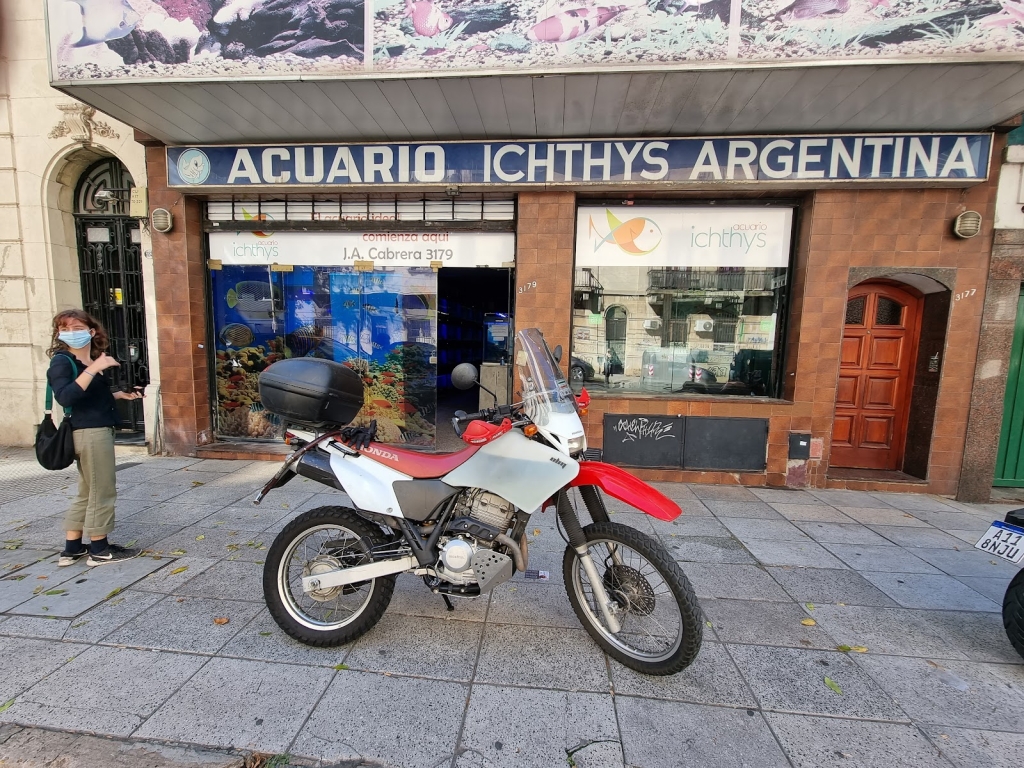 Ichthys Aquarium