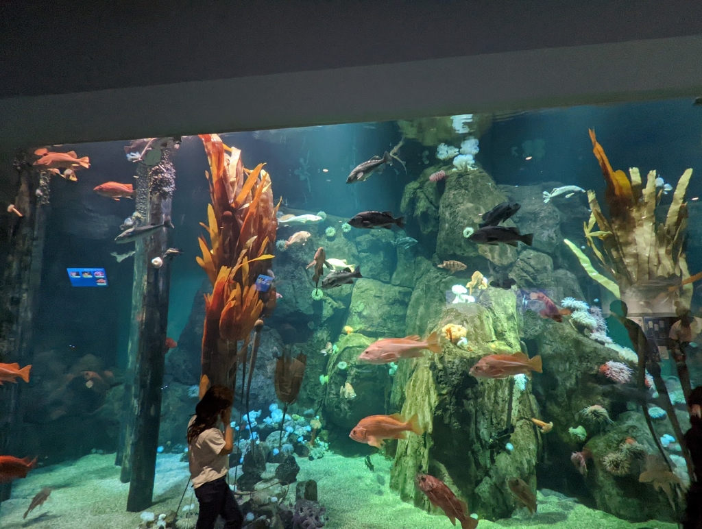 Zoo y Acuario Point Defiance