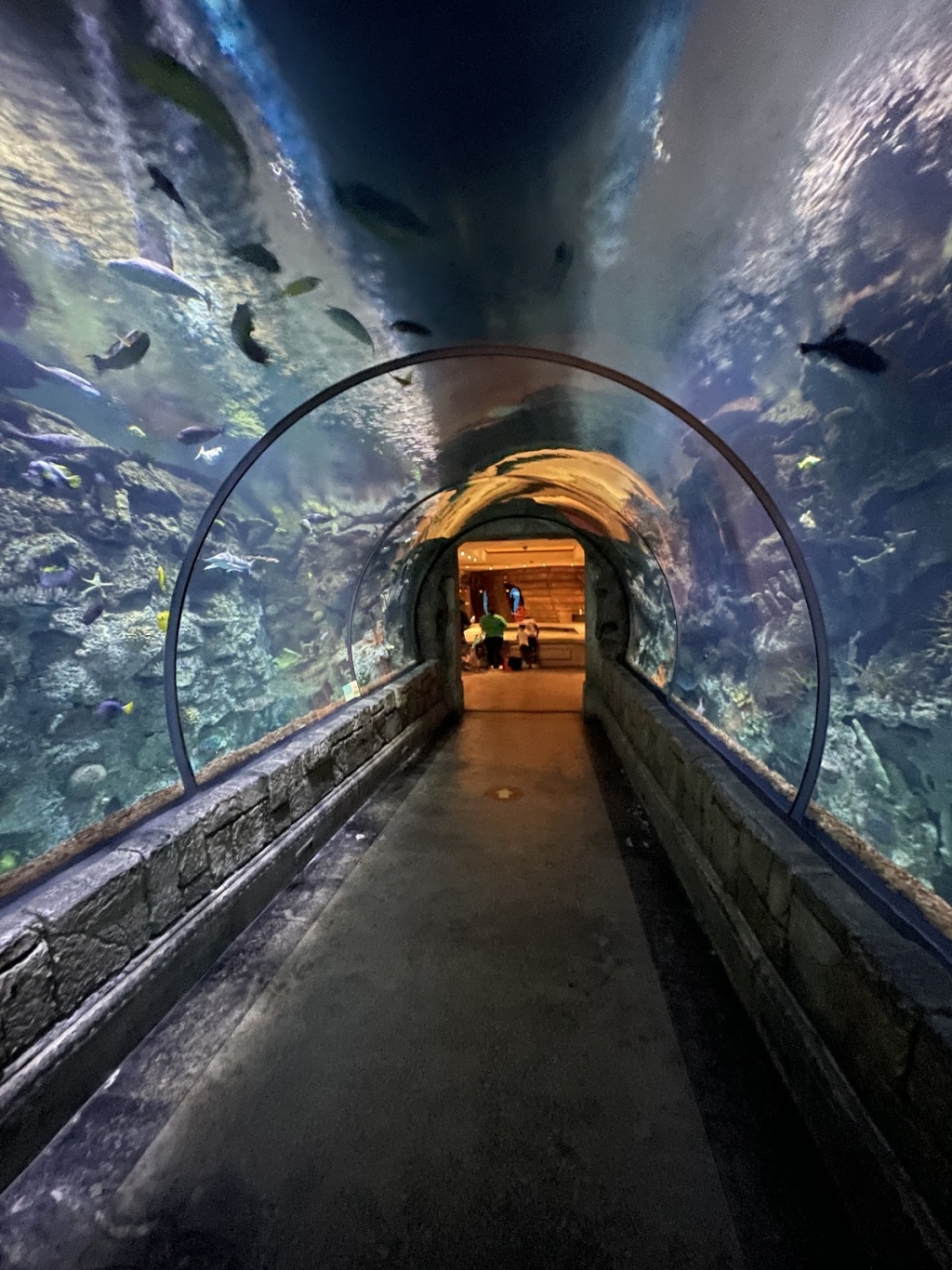 Acuario Shark Reef en Mandalay Bay