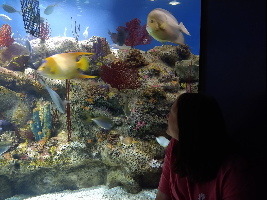 Acuario de Carolina del Norte en Fort Fisher