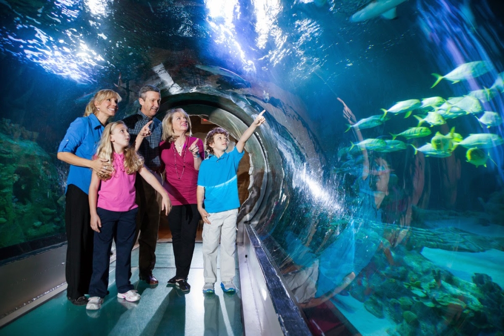 SEA LIFE Acuario de Orlando