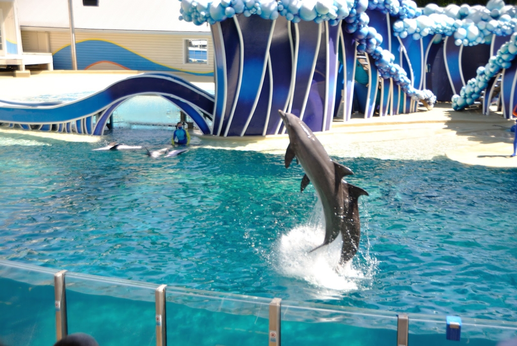 Teatro de Delfines