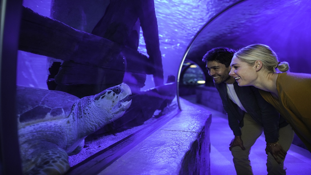 SEA LIFE en el Mall of America