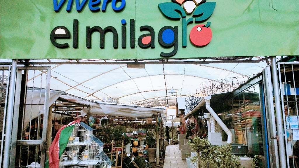 Vivero El Milagro