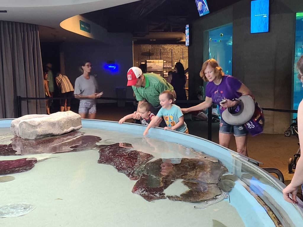 Acuario del Zoológico de Toledo