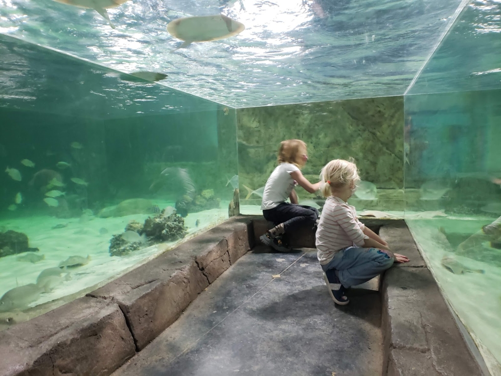 Acuario y Vida Silvestre de NorCal
