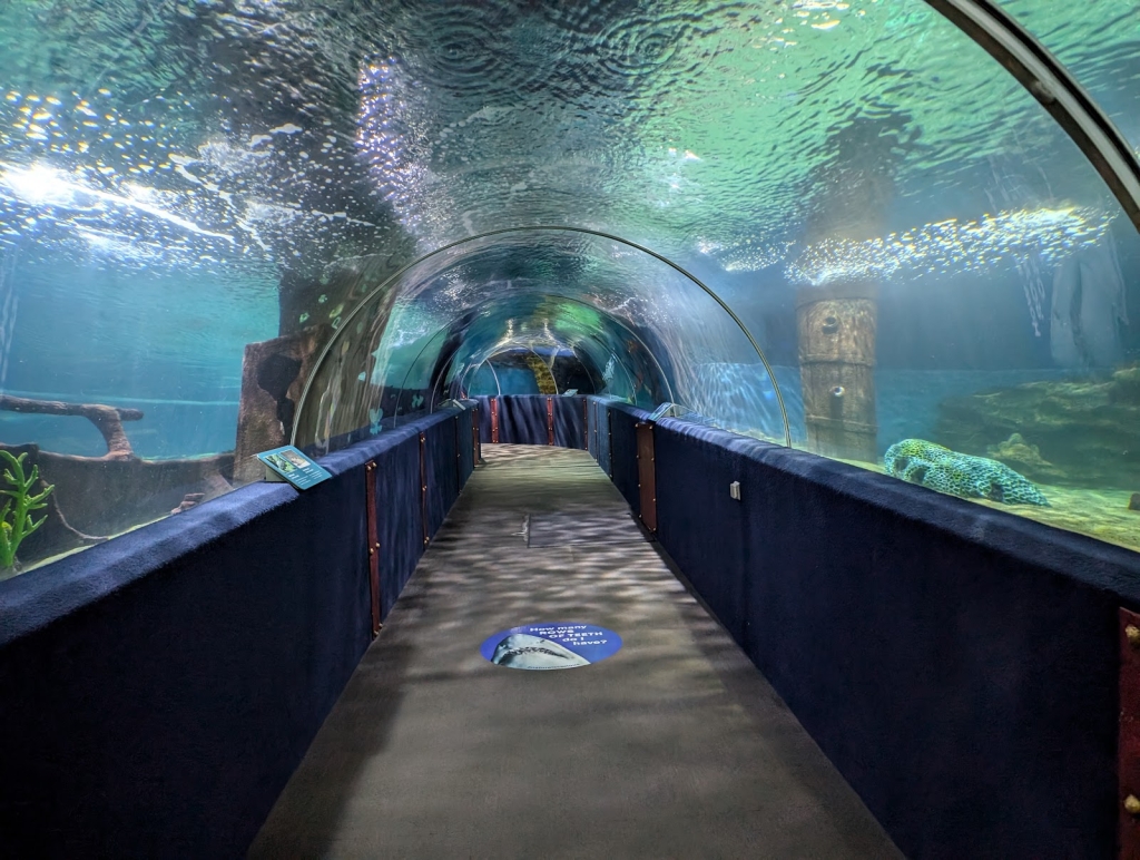 Acuario del Gran Cleveland