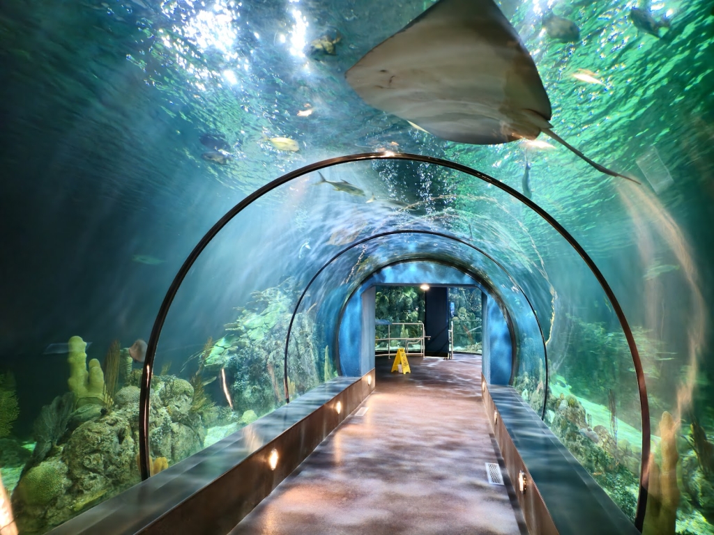 Acuario en Moody Gardens