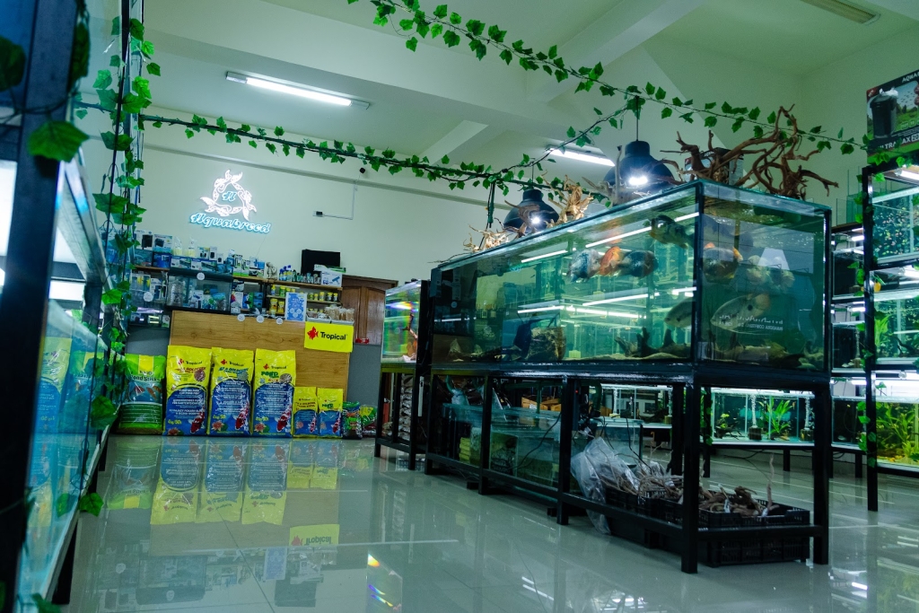 Acuario Aquabreed