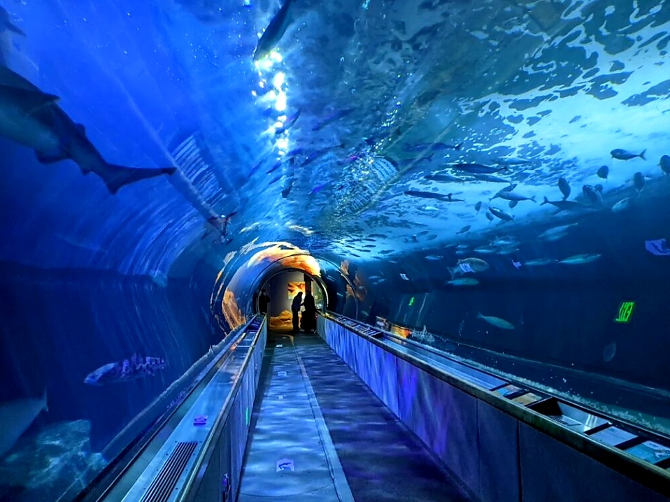 Acuario de la Bahía