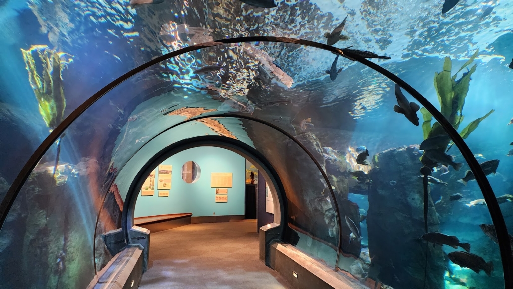 Acuario de la Costa de Oregón