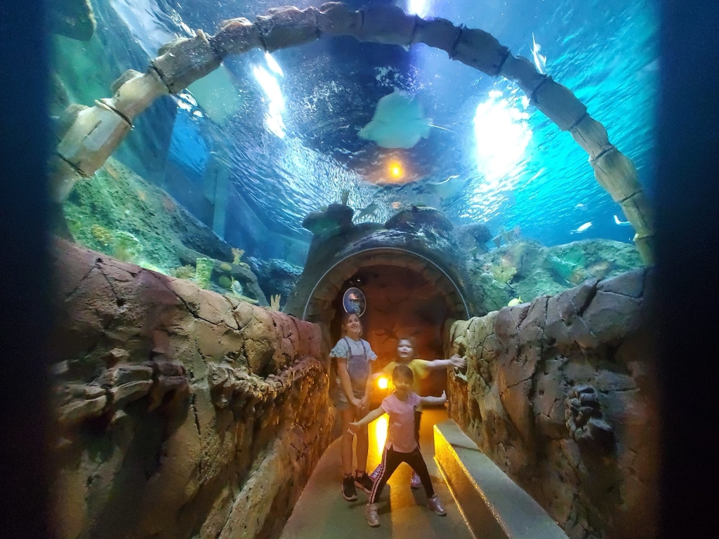 Acuario SEA LIFE Kansas City