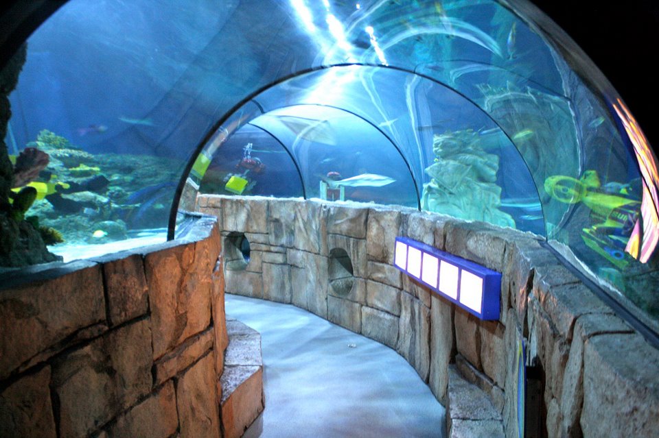 Acuario SEA LIFE