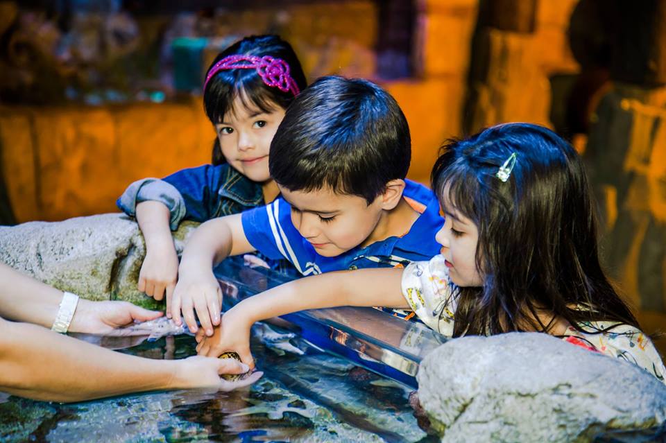 Acuario SEA LIFE Arizona